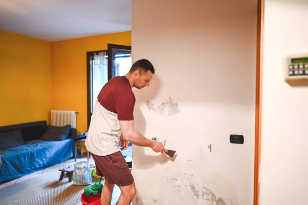 Union, SC Mold Removal Company